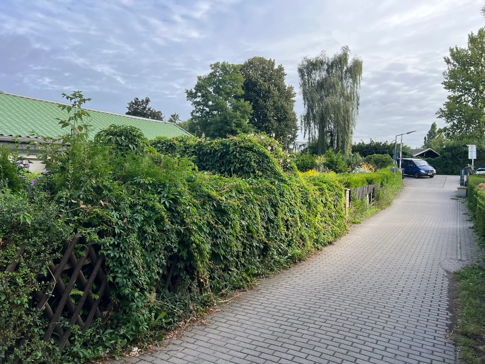 Vorher: Der Weg war vom Wildwuchs zugewachsen.
