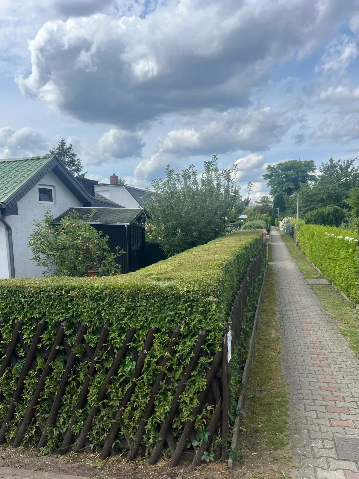 Nachher: klare Kanten, freier Weg.