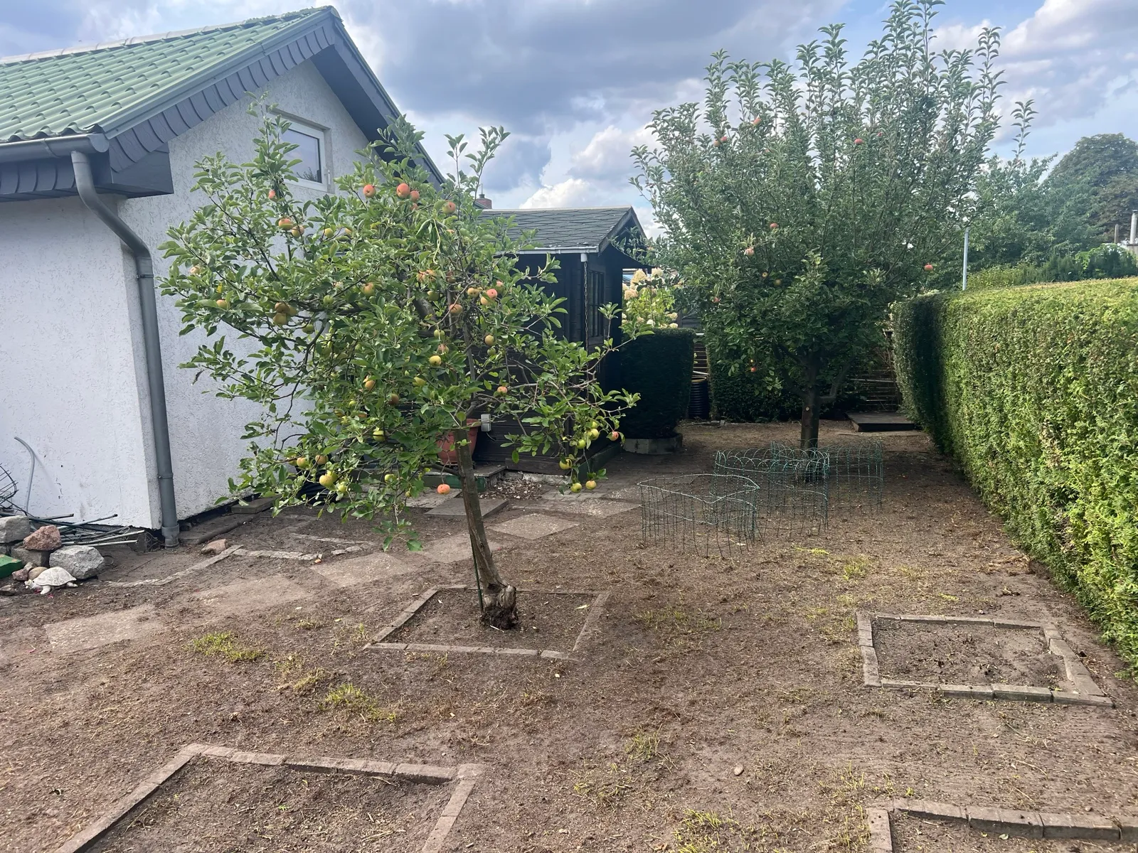 Freigelegte Beete rund um die Obstbäume.